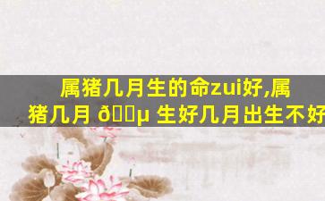 属猪几月生的命zui
好,属猪几月 🌵 生好几月出生不好